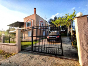 ALEX HOUSE